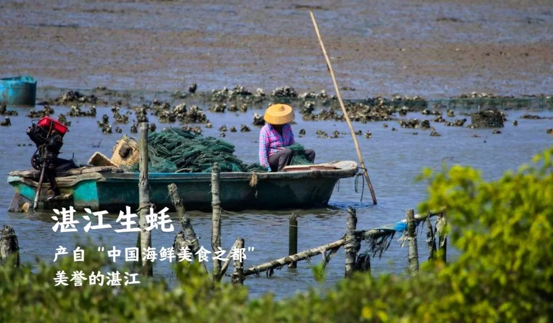 东莞烧烤品牌食材来源